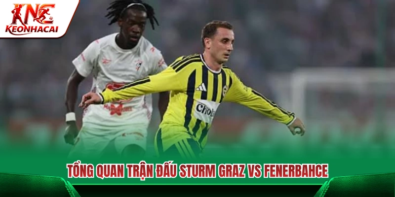 Tổng quan cuộc đối đầu giữa Sturm Graz vs Fenerbahce